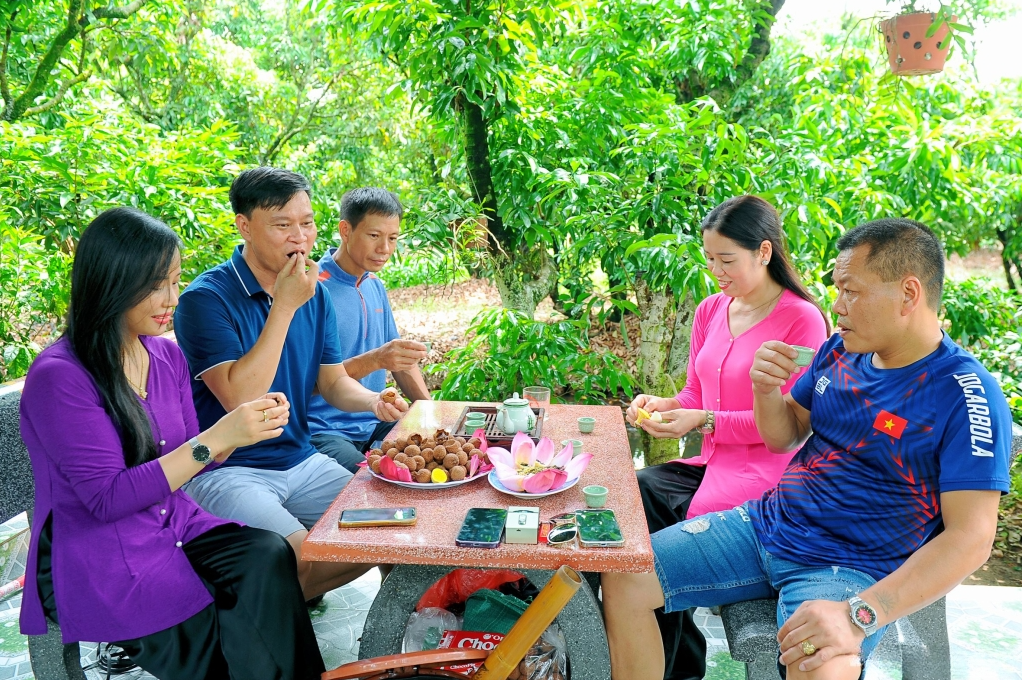 Mùa này đến Đồng Mẩn, du khách được thưởng thức vải sấy khô và trà sen dưới những tán vải xanh mướt.